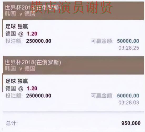 世界杯高清直播背景下的世界杯投注平台揭秘与真实体验直播解析 世界杯高清直播背景下的世界杯投注平台揭秘与真实体验直播解析